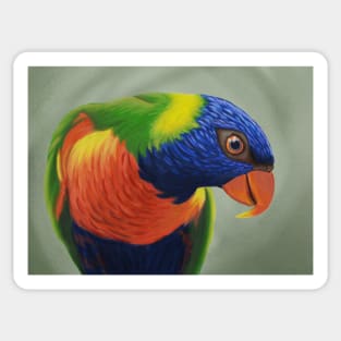 Curious Parrot Sticker